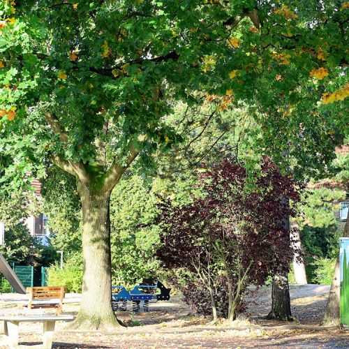 Pausenhof sonnig